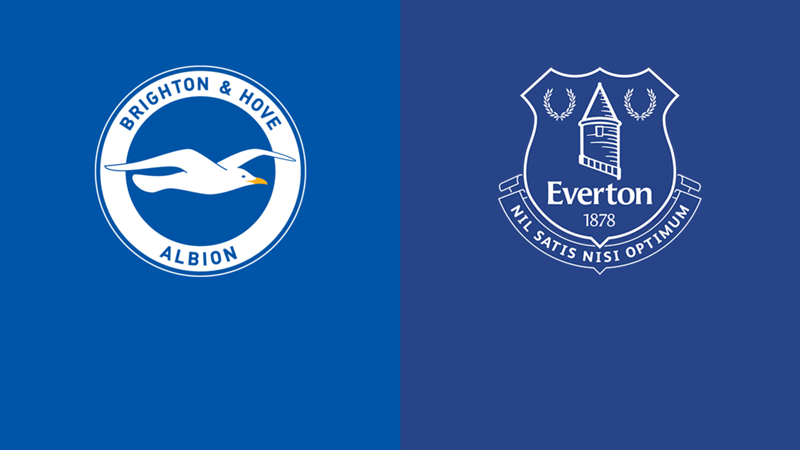 Brighton & Hove Albion v Everton